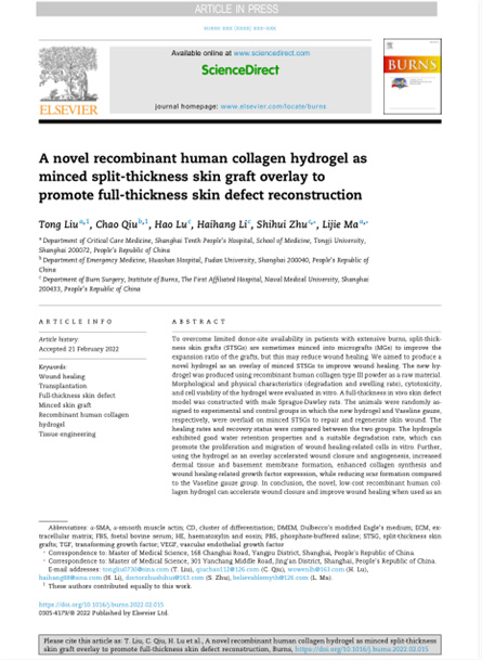 2022 动物研究，重组胶原用于微粒皮移植覆盖